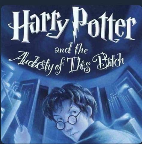 harry potter and the audacity of this b meaning
